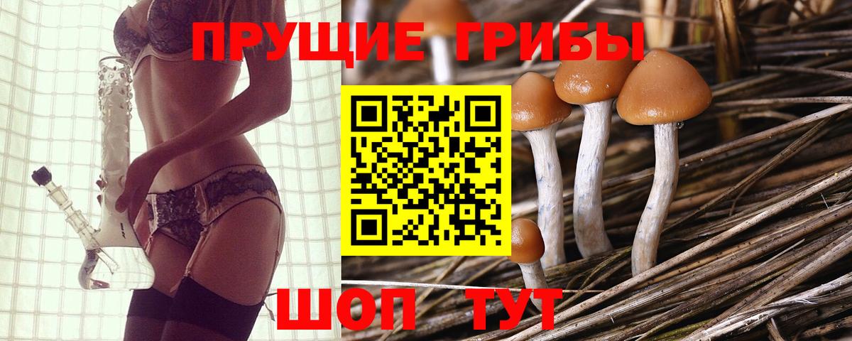 Галлюциногенные грибы MAGIC MUSHROOMS Хабаровск