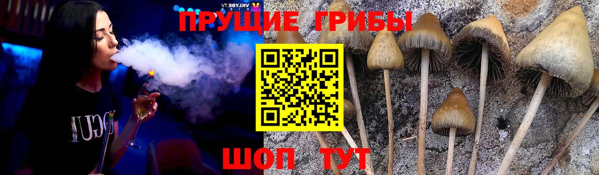 Хабаровск  Псилоцибиновые грибы ЛСД  Вход с VPN 